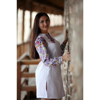 Embroidered dress "Neo Borshchivka"